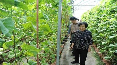 女配吃瓜真香免费阅读无弹窗,吃瓜真香，免费阅读无弹窗